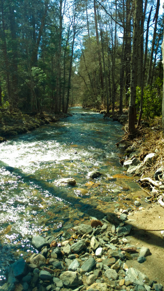 the office, bull creek, outing